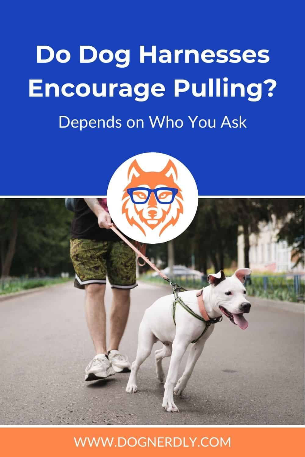 Do Dog Harnesses Encourage Pulling? Depends on Who You Ask