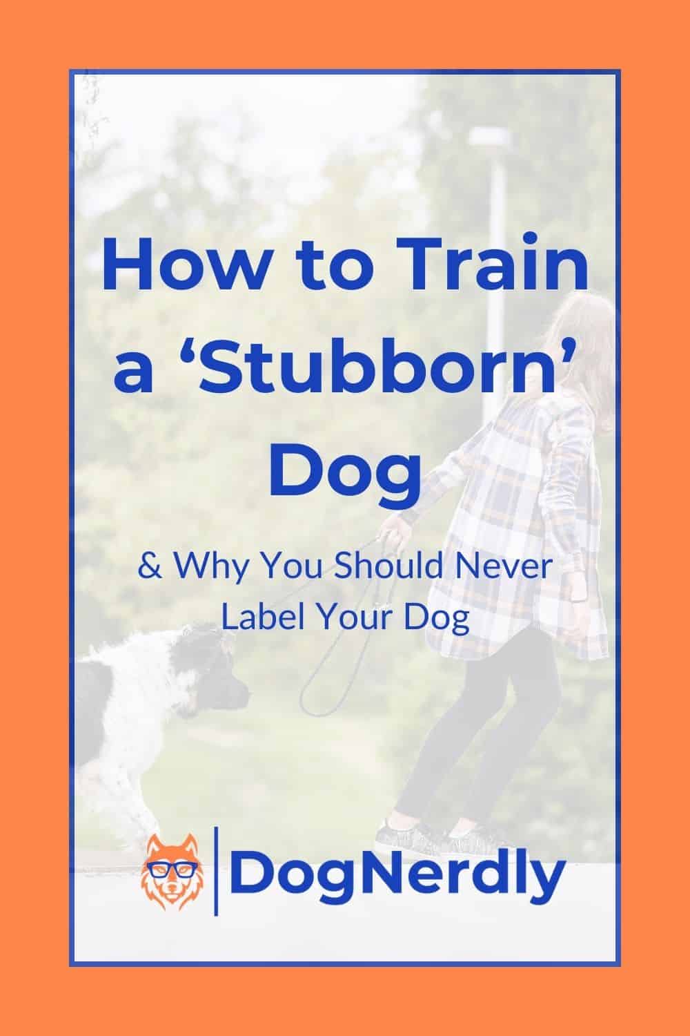 How to Train a \'Stubborn\' Dog 