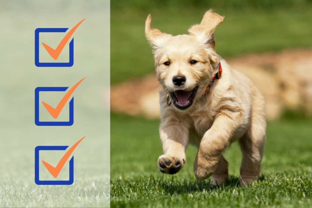 Puppy Socialization Checklist