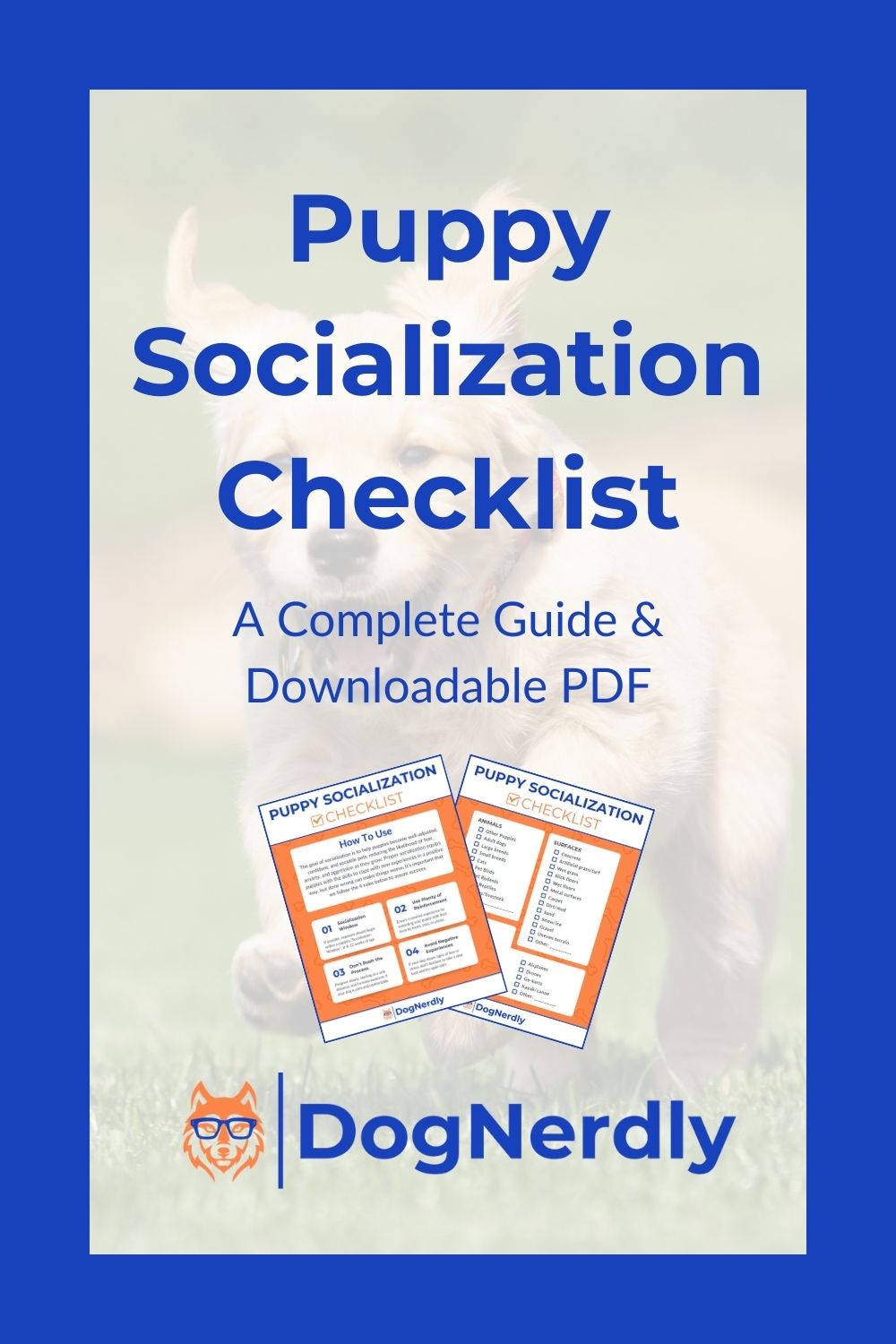 Puppy Socialization Checklist: A Full Guide and Printable PDF