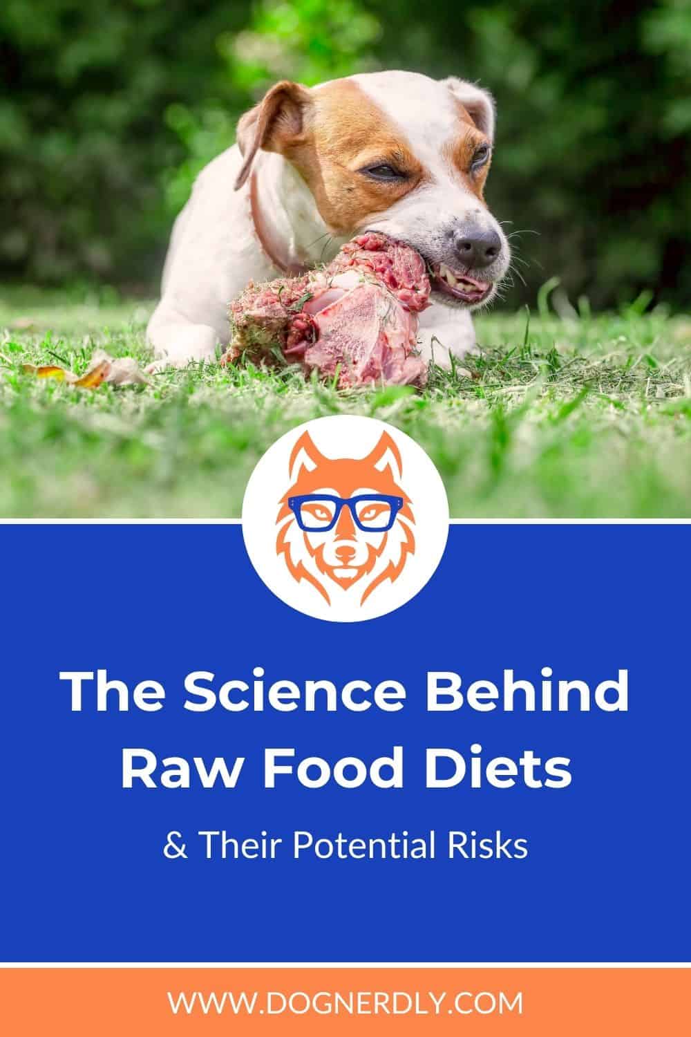 The Science Behind Raw Food Diets for Dogs and Their Potential Risks