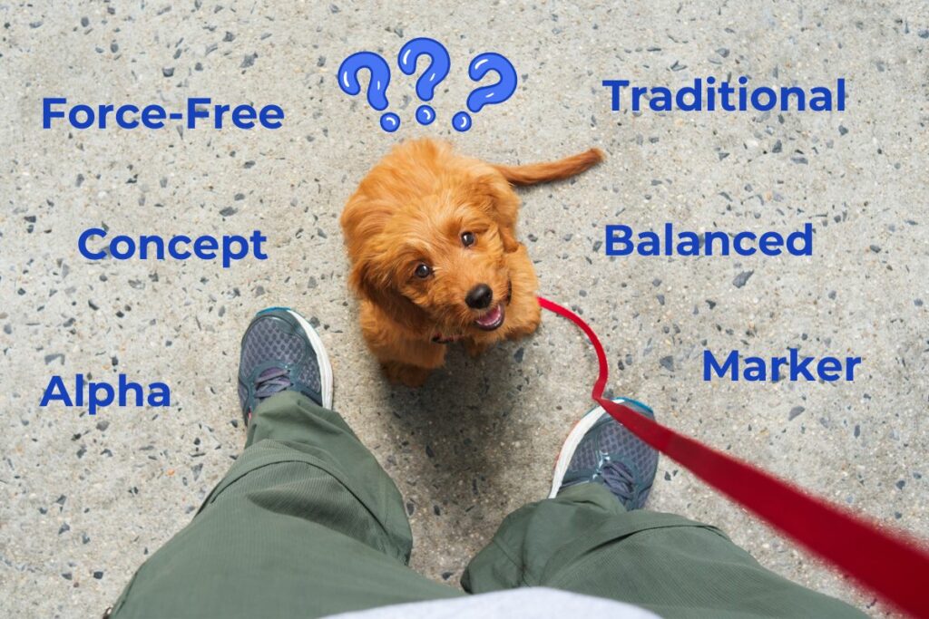 Dog Training Methods - Types of Dog Training