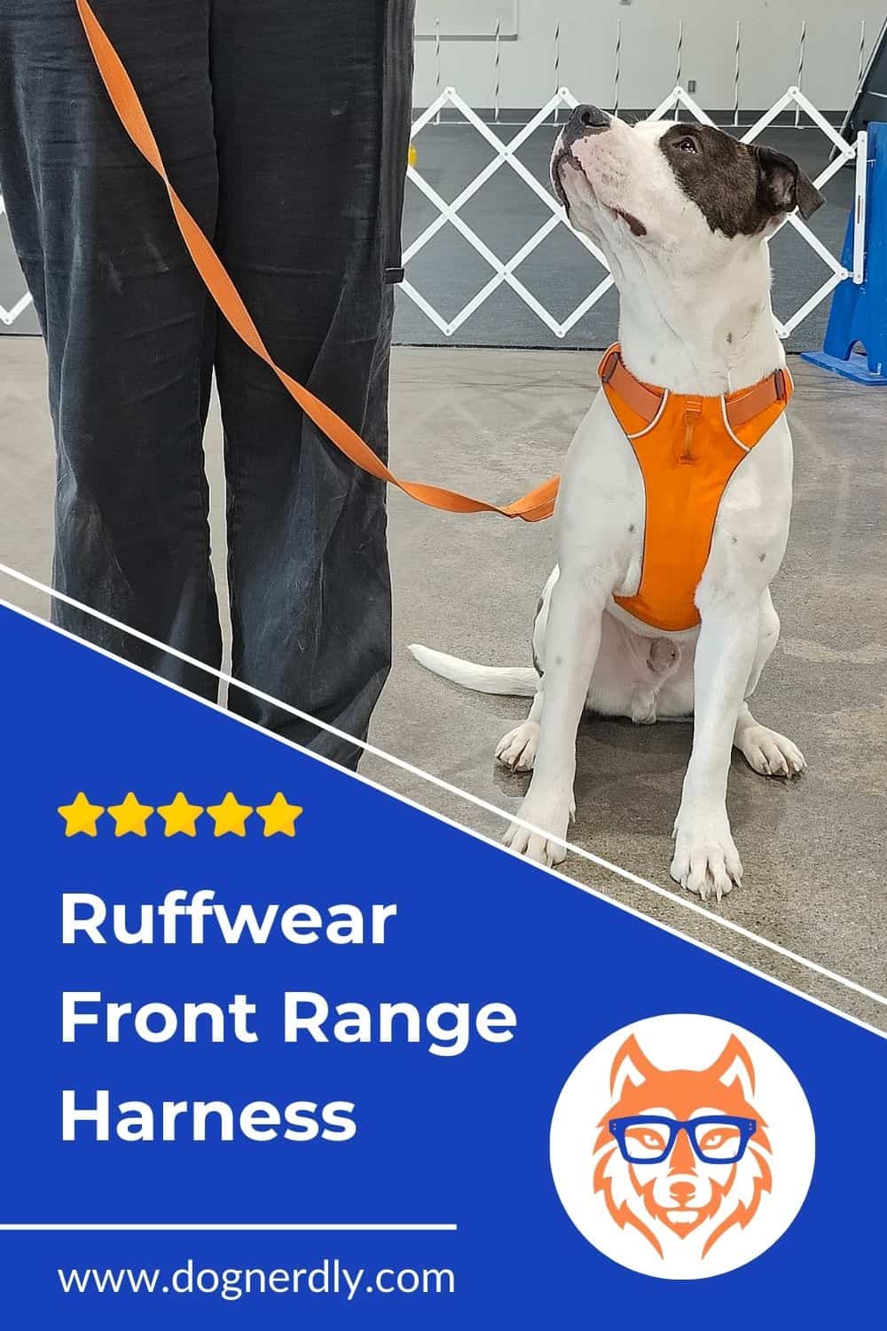 Expert Review: Ruffwear Front Range Harness