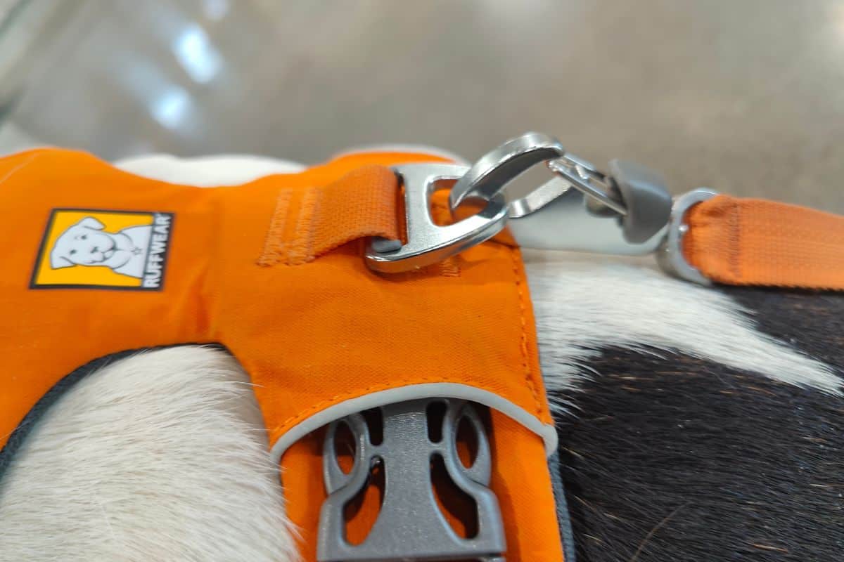 Ruffwear leash clip lock