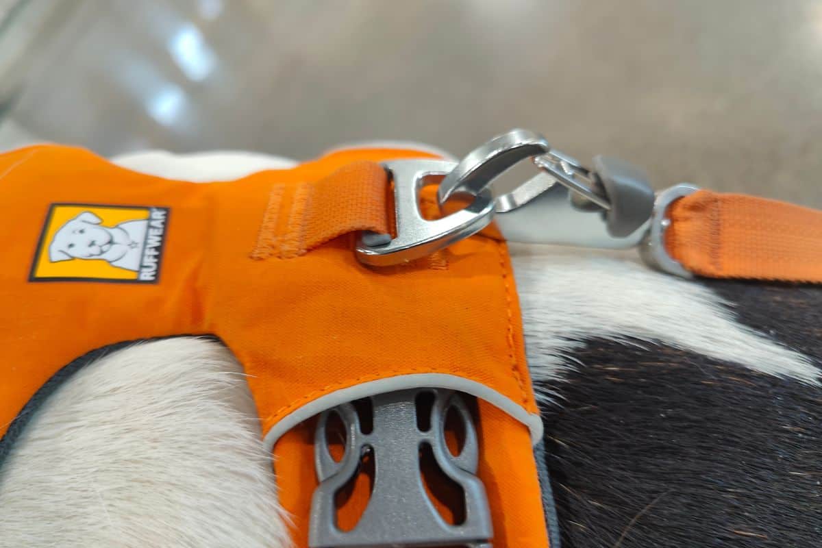 Ruffwear Leash Clip Ruffwear leash clip lock