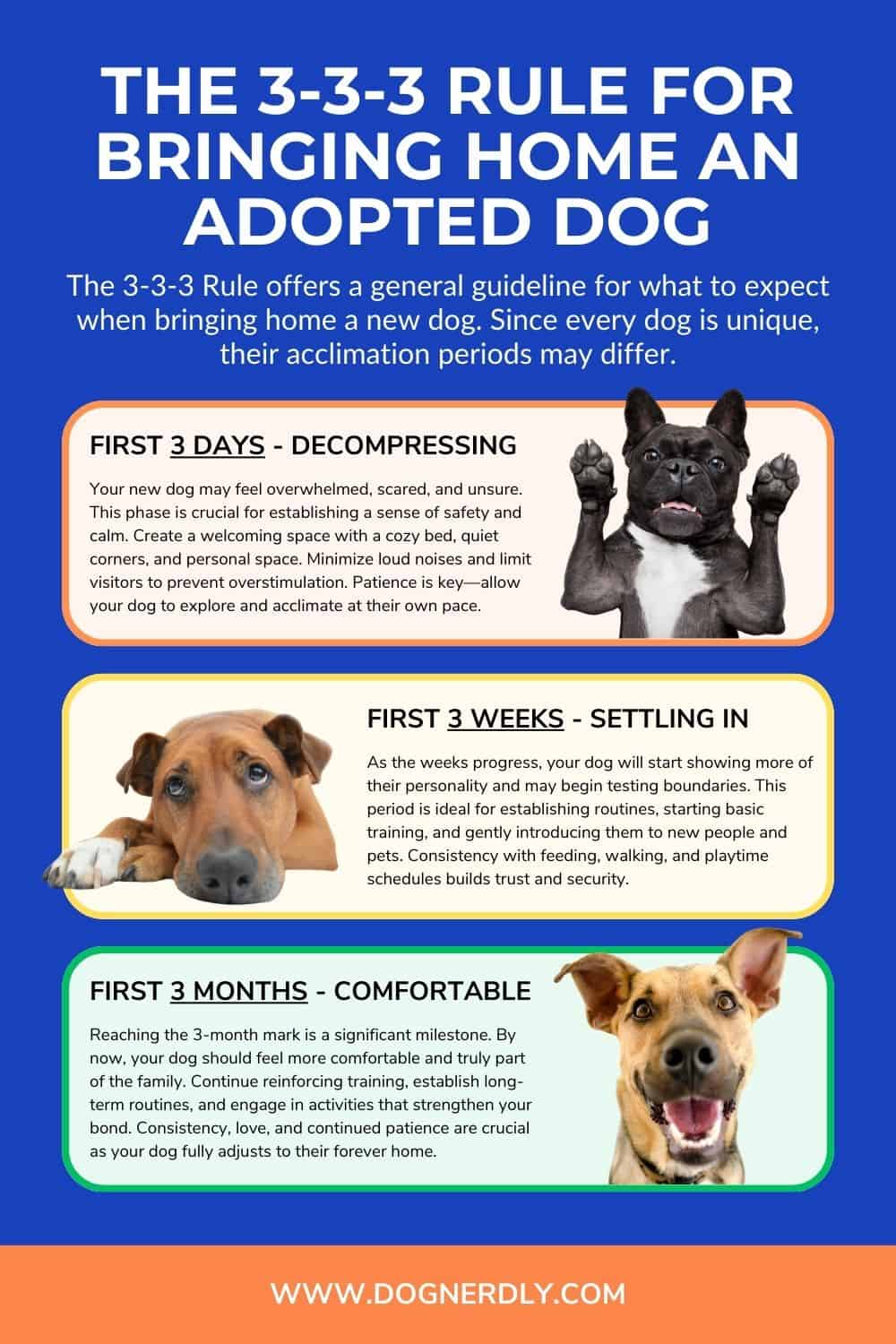 The 3-3-3 Rule For Adopting a Dog Infographic by DogNerdly