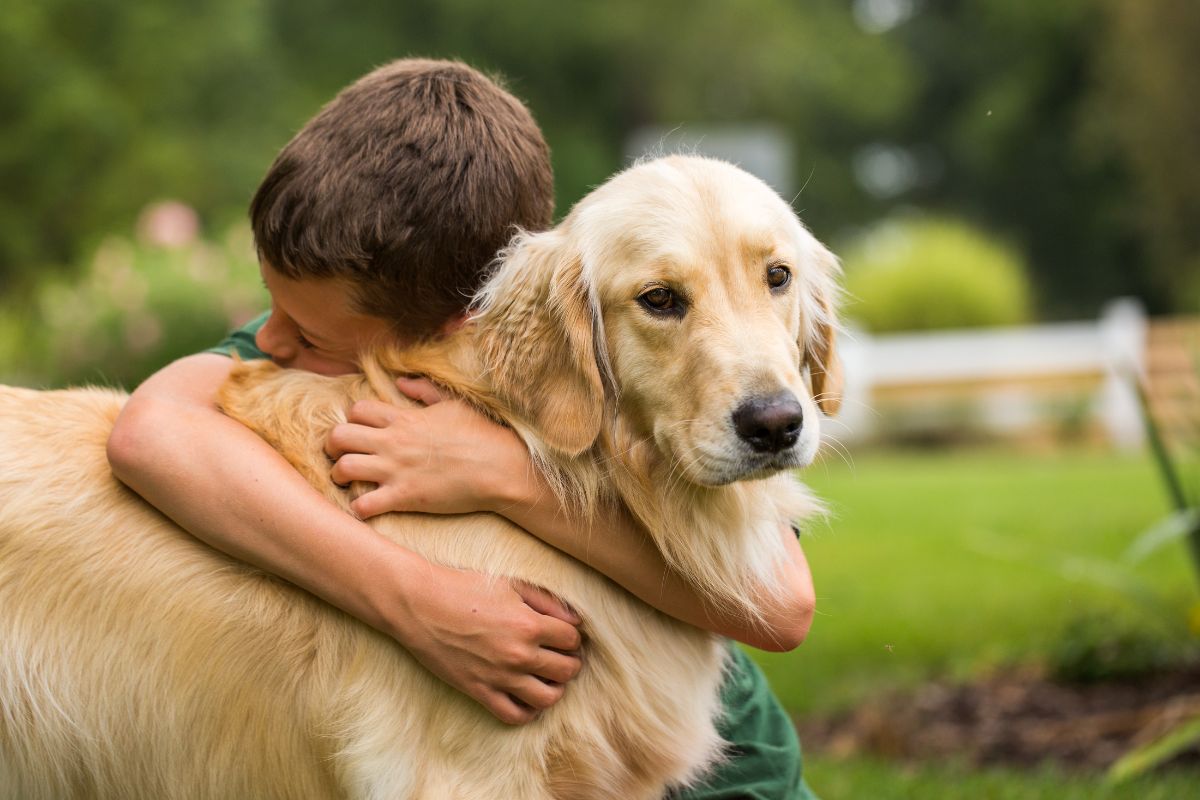 Do Dogs Like Hugs and Kisses