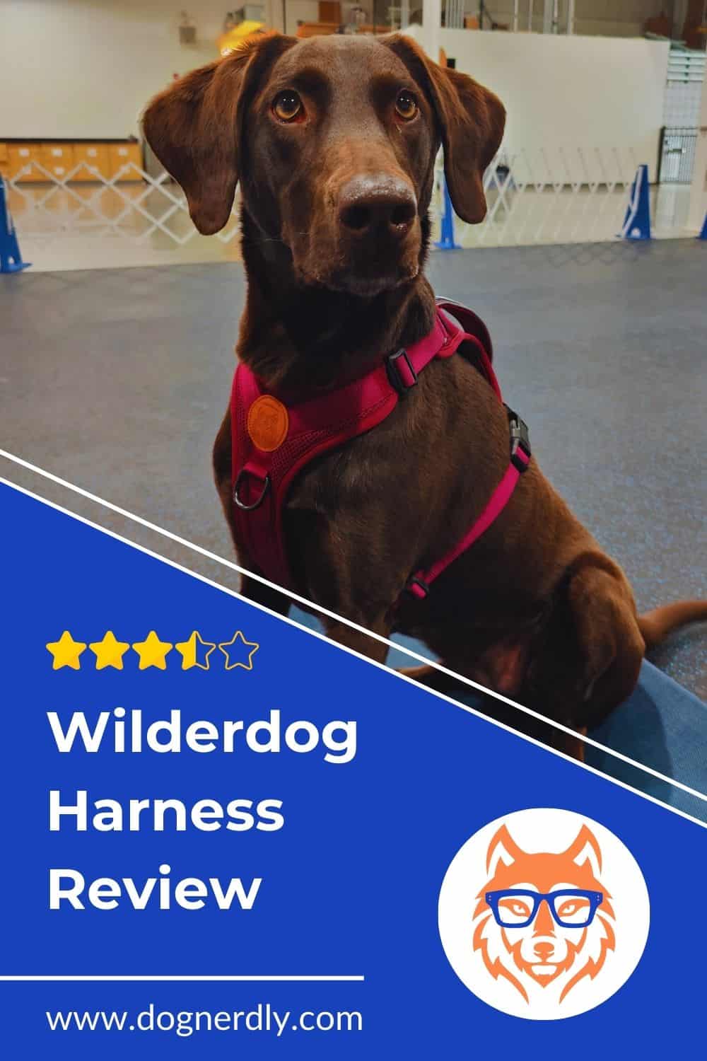 Expert Review: Wilderdog Harness