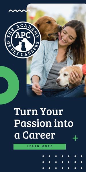 APC Sidebar Banner Ad - Turn Your Passion Into a Career
