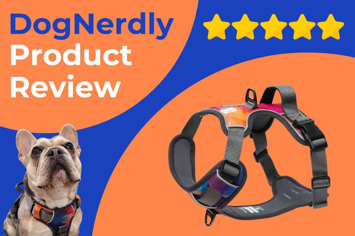 Embark Urban No Pull Dog Harness Review - DogNerdly
